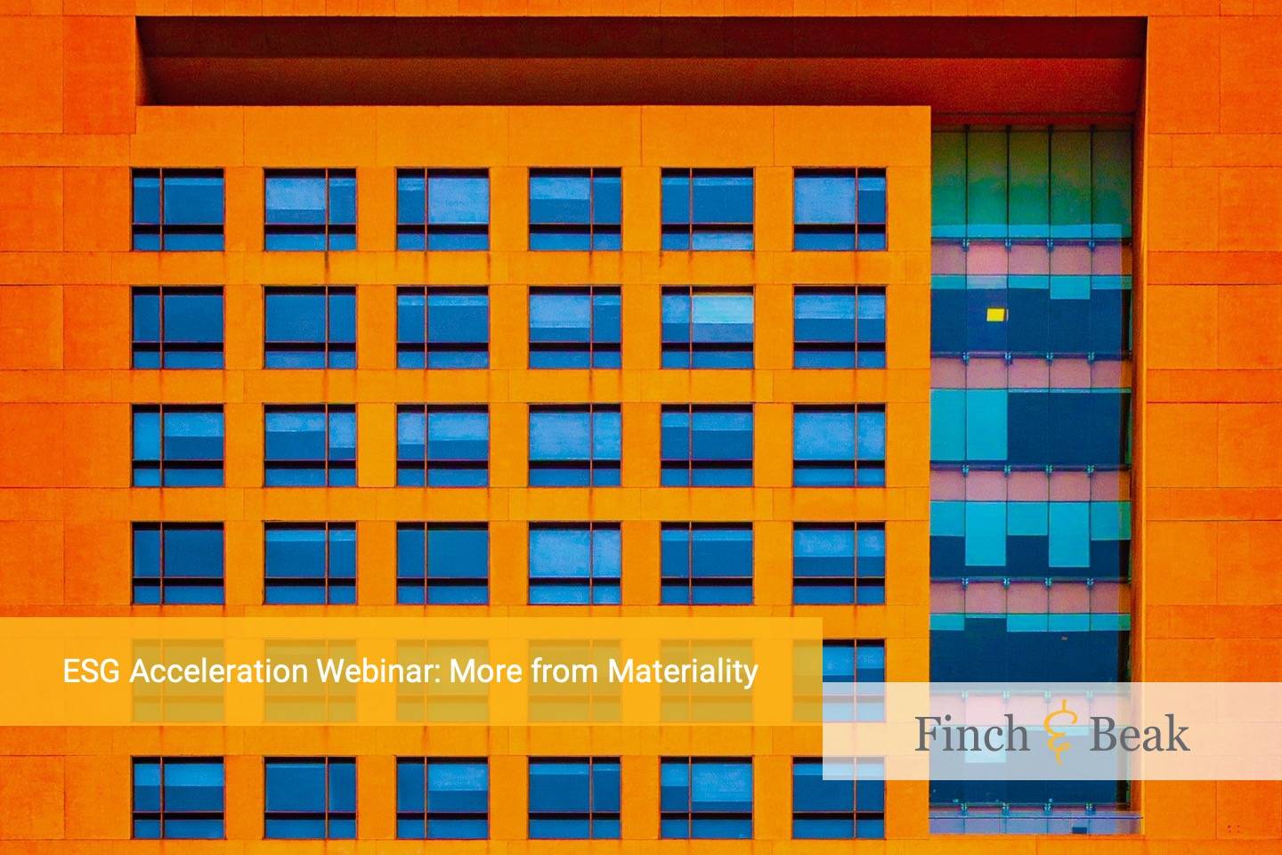 ESG Acceleration Webinar: More from Materiality